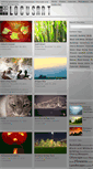Mobile Screenshot of locusart.com